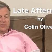 Late Afternoon by Colin Oliver
